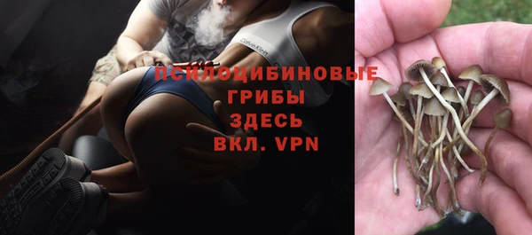 амфетамин Богородск