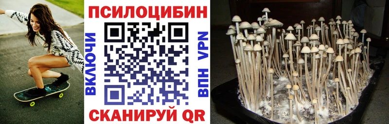 где продают наркотики  hydra вход  Псилоцибиновые грибы мицелий  Морозовск 